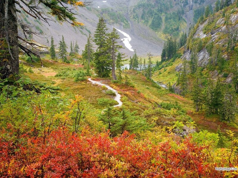 Winding Path in Mountain Valley