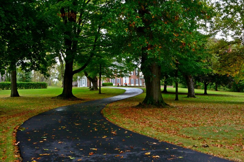 Winding Path in Park — Green, Serene, Autumn