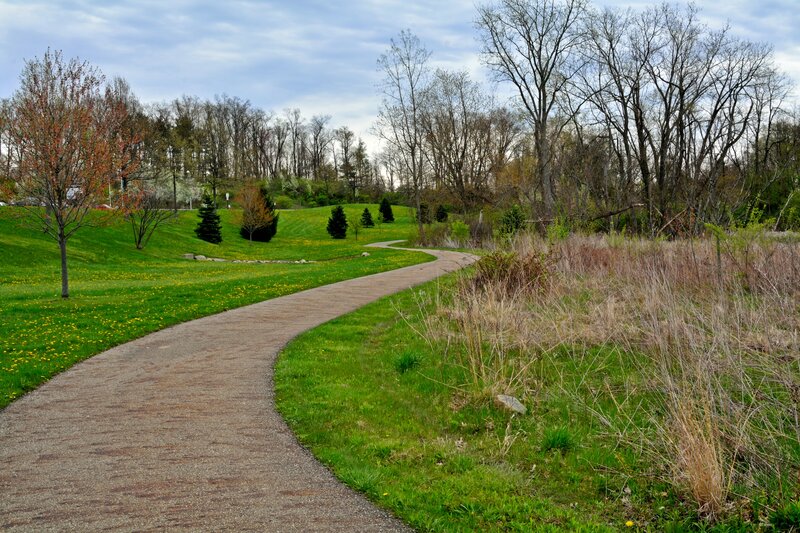 Winding Path in Park — Green, Serene, Spring