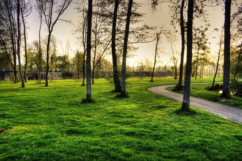 Winding Path in Park — Green, Serene, Sunset