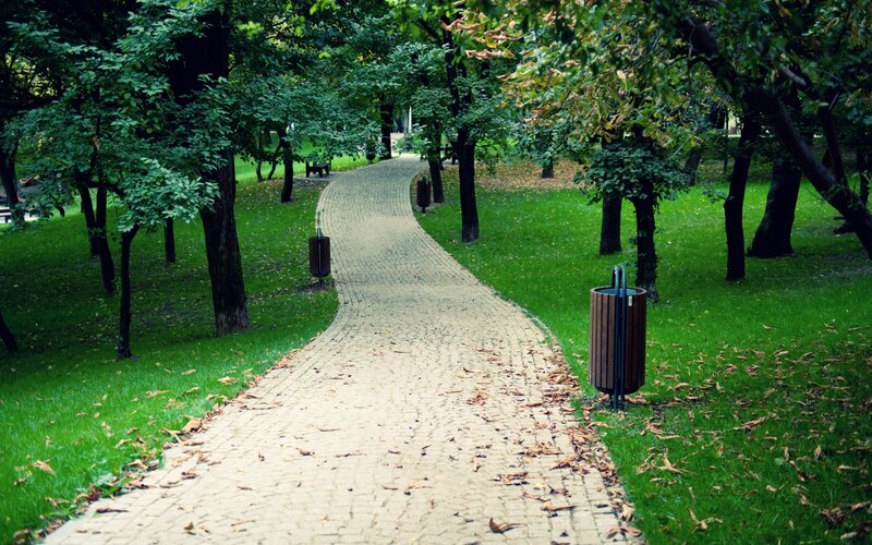 Winding Path in Park — Green