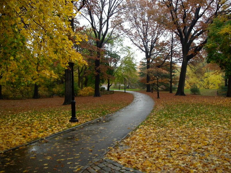 Winding Path in Park — Yellow