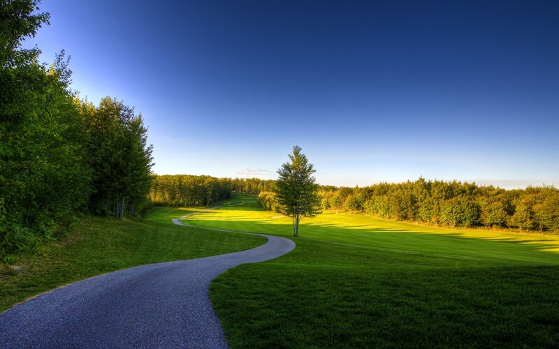 Winding Path on Golf Course — Green, Serene, Morning
