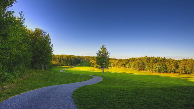 Winding Path on Golf Course — Green