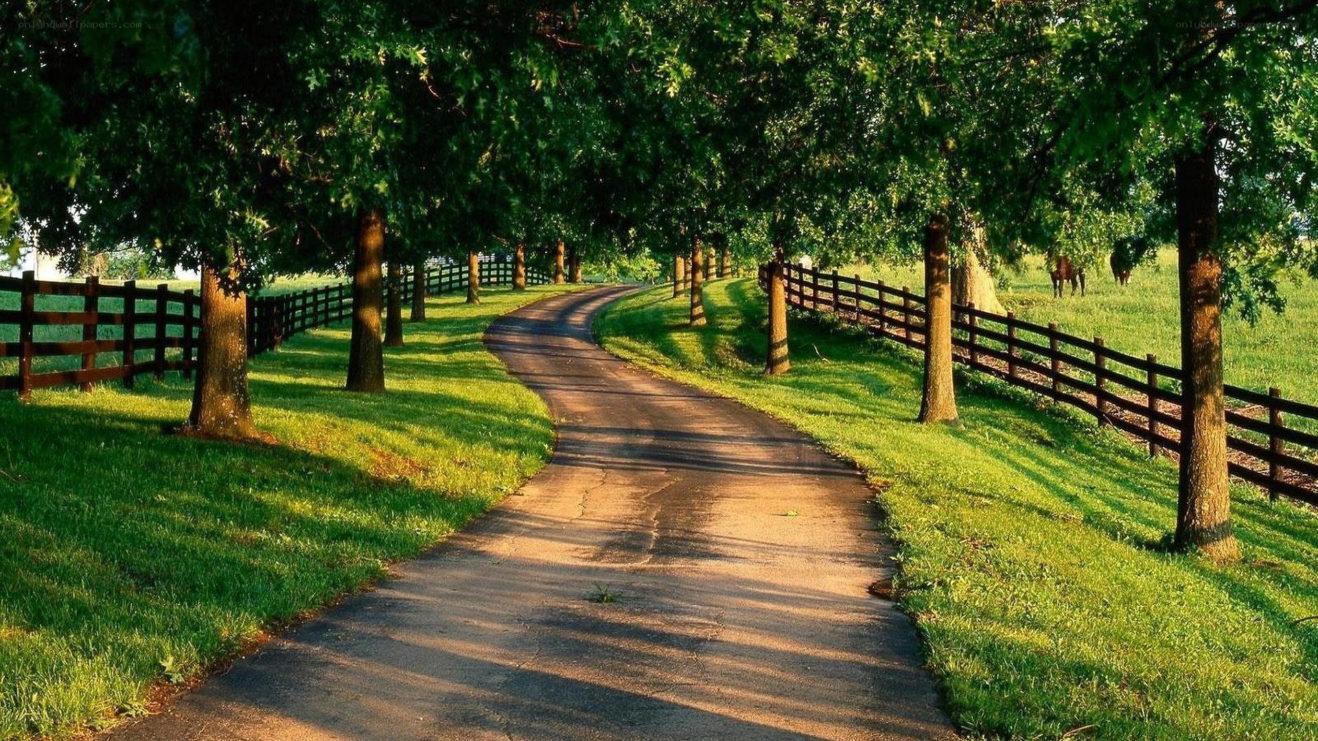 Winding path through a green landscape