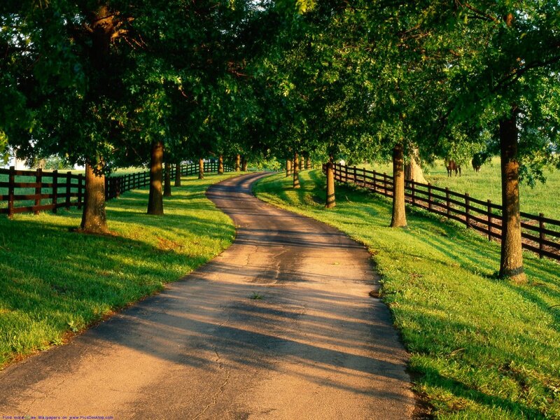 Winding path through a green landscape