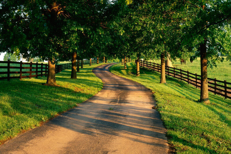 Winding path through a green landscape