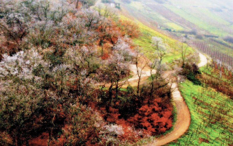 Winding path through autumn hills