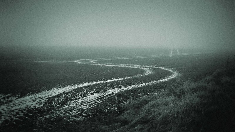 winding path through foggy field