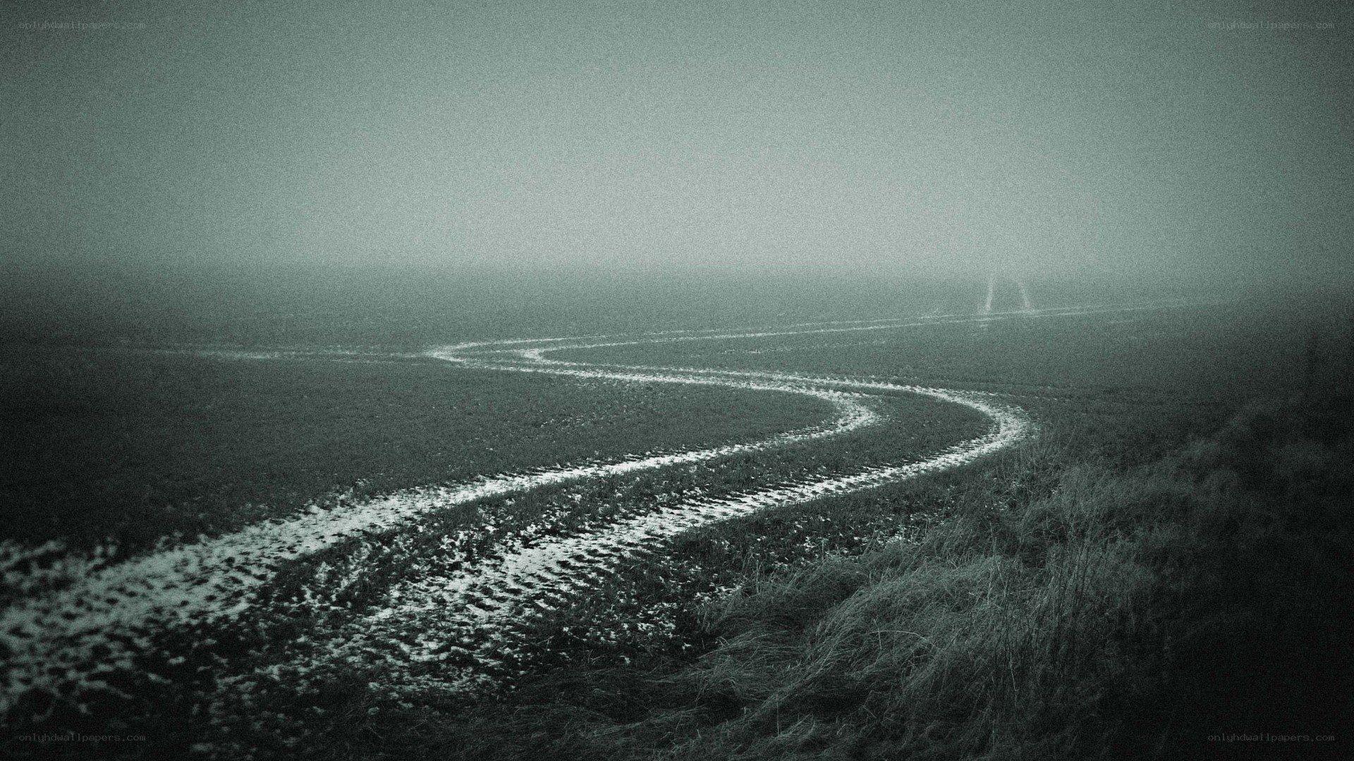 winding path through foggy field