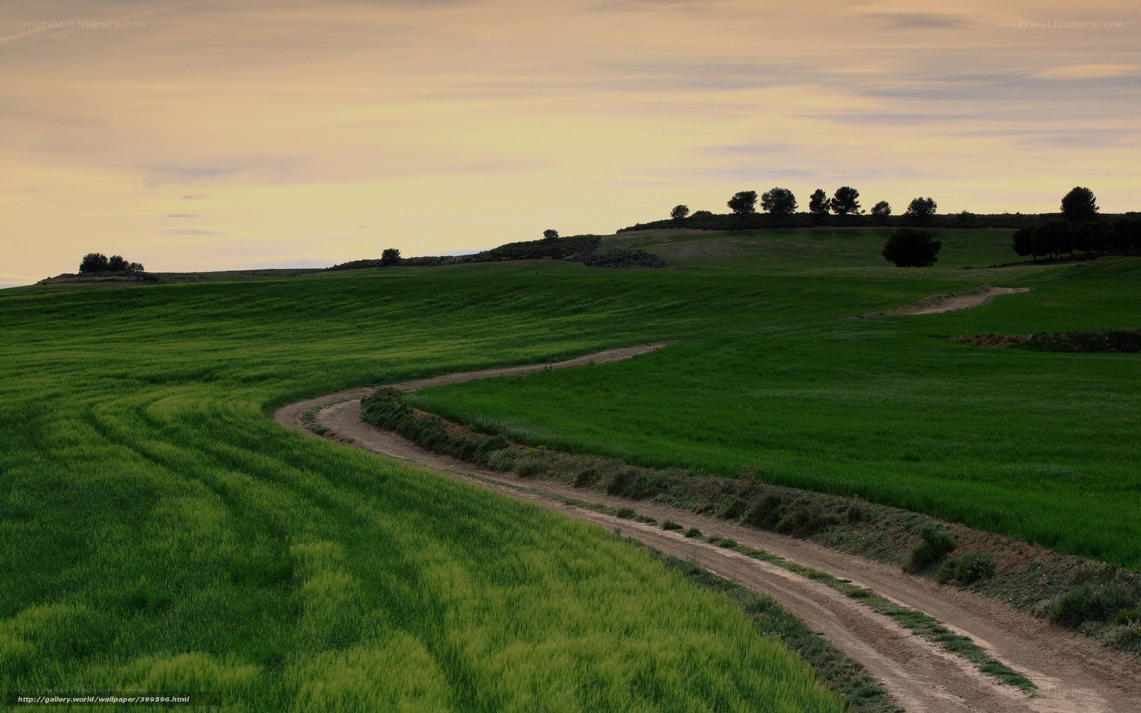 Winding path through green fields