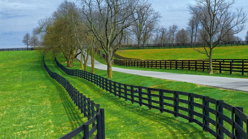 Winding path through green fields