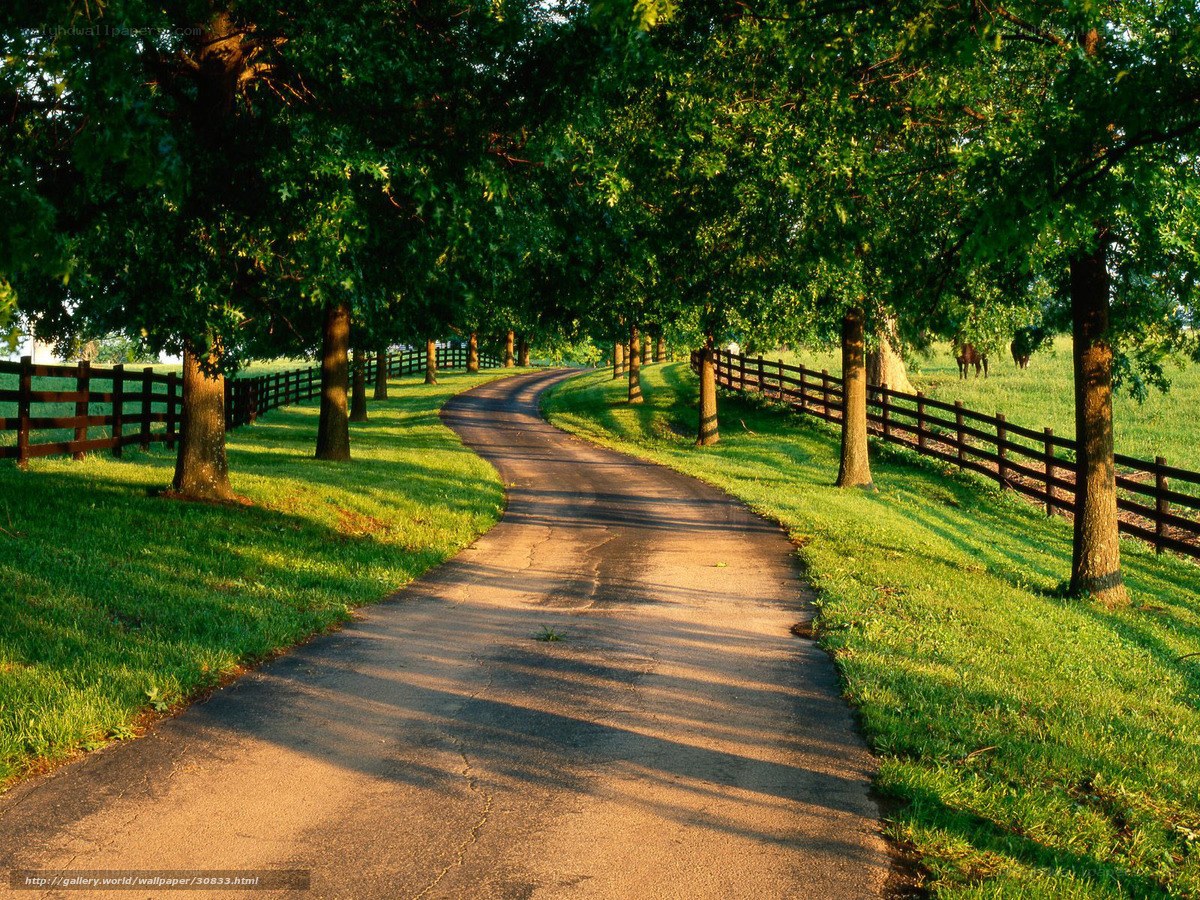 Winding path through green fields