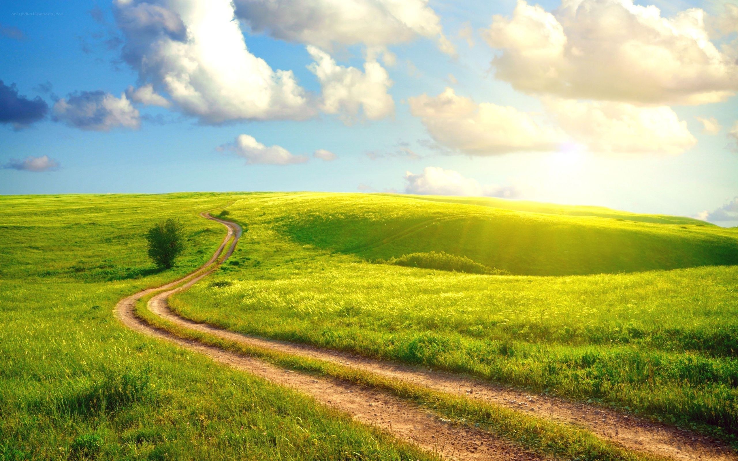 Winding path through green hills