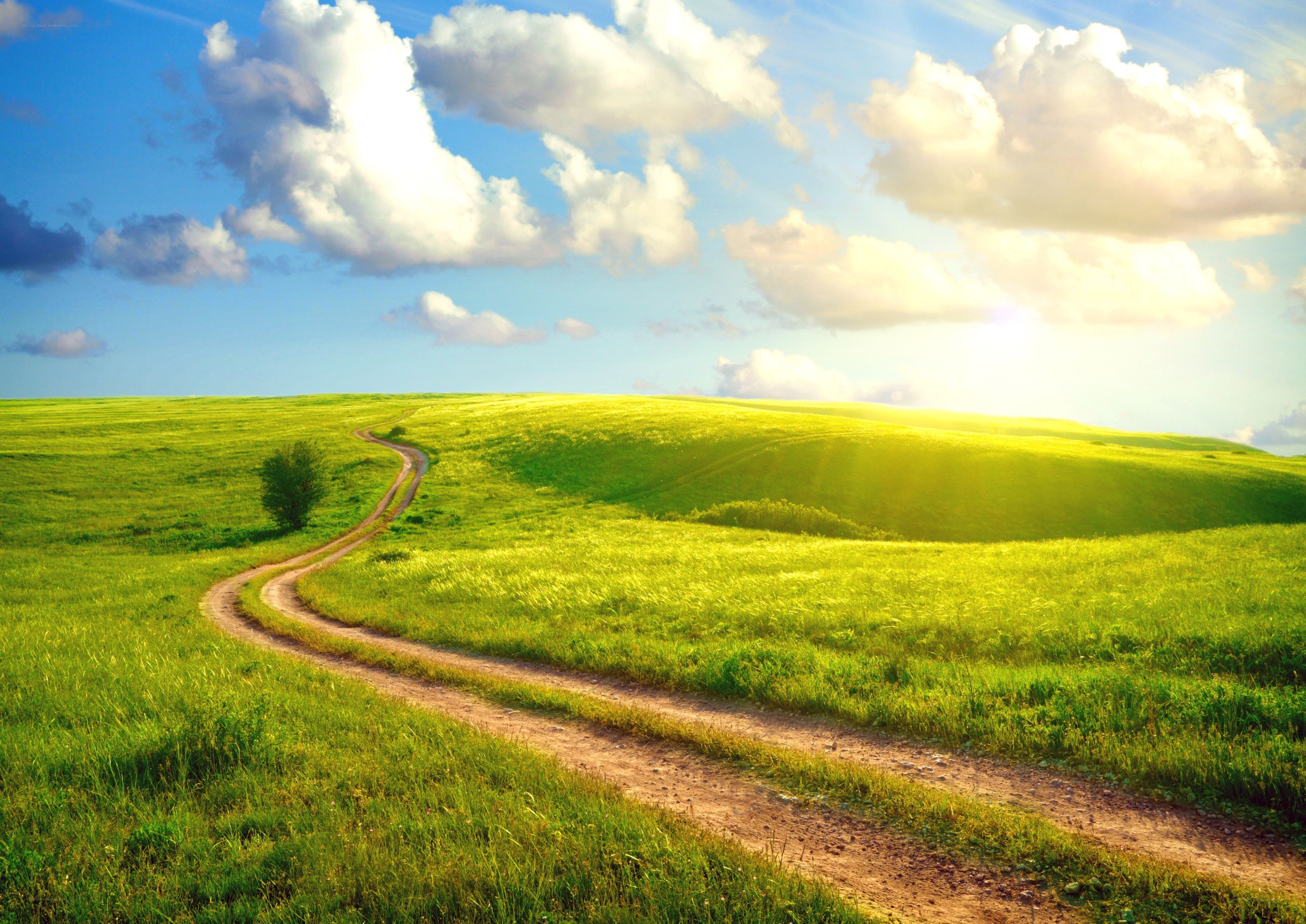 Winding path through green hills