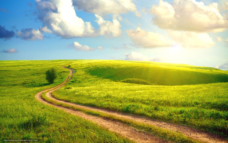 Winding path through green hills