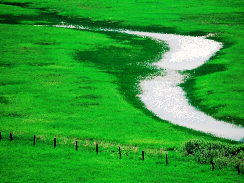 Winding River in Field