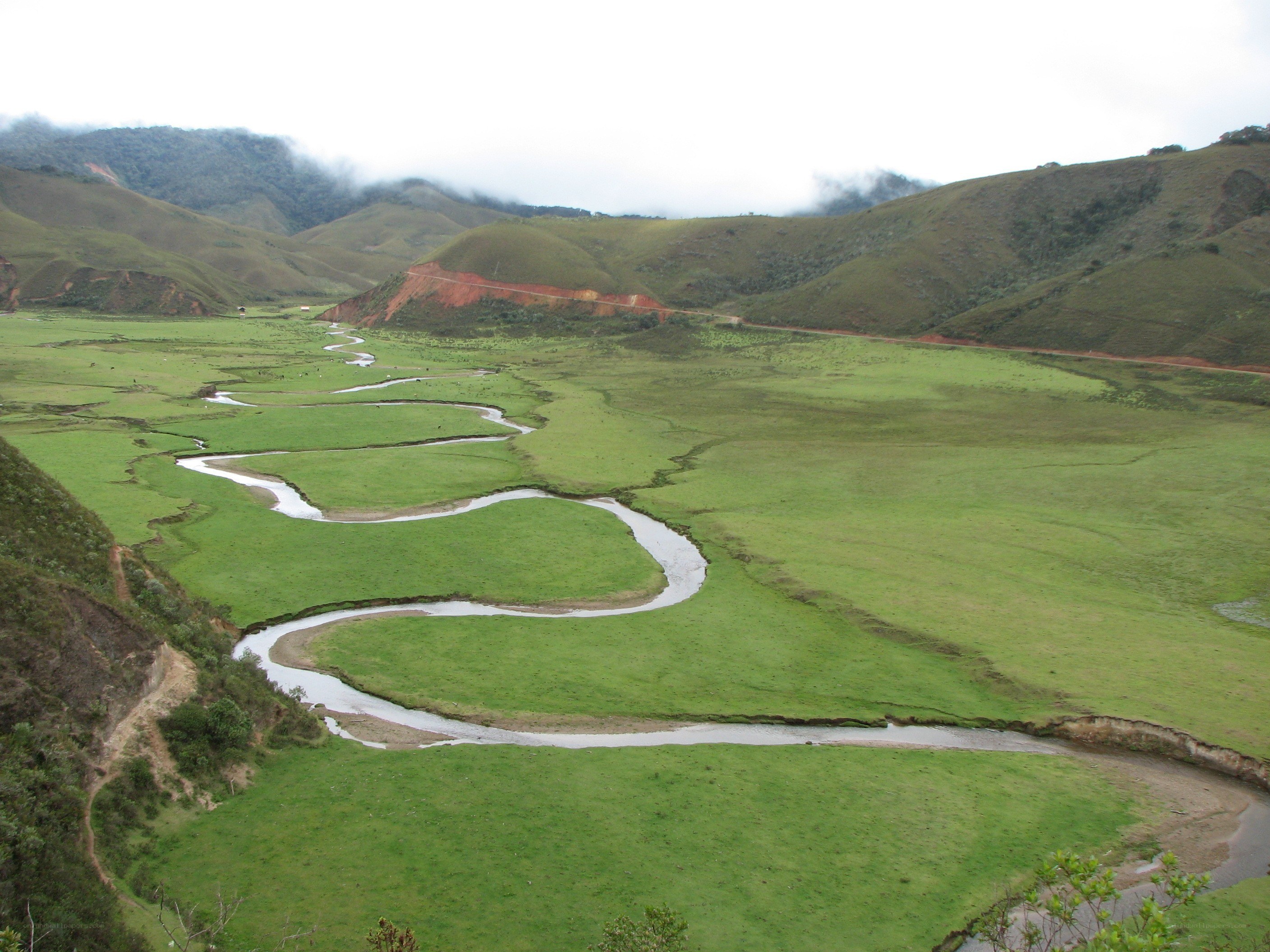 winding river in green valley
