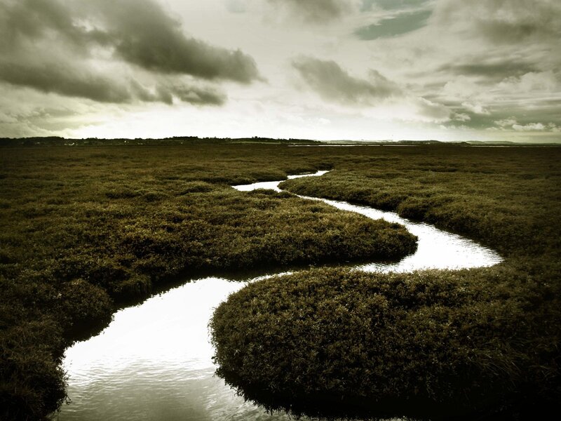 Winding River in Marsh