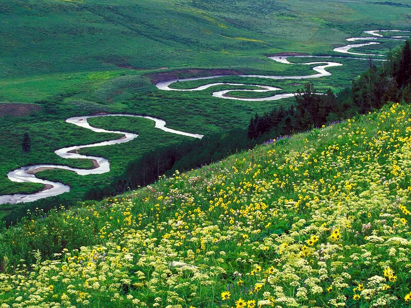 Winding River in Valley — Green, Serene