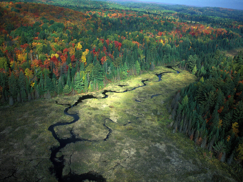 Winding River Through Forest