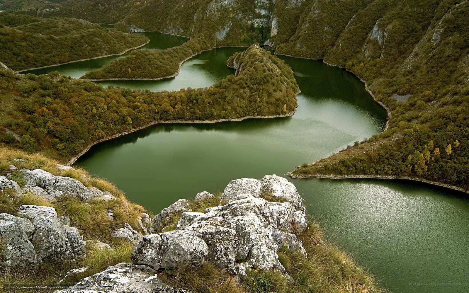 Winding river through forested valley
