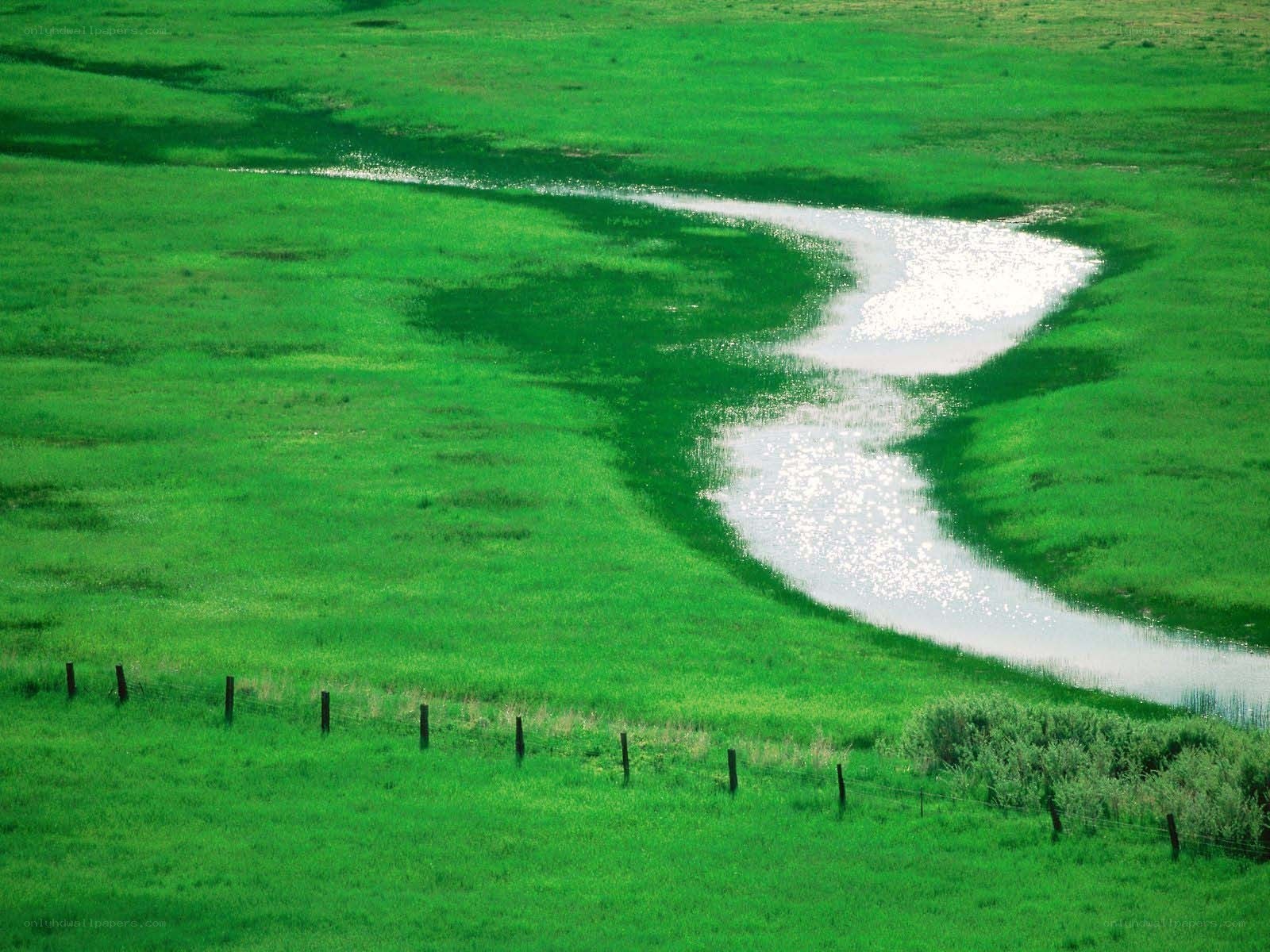 Winding river through green fields