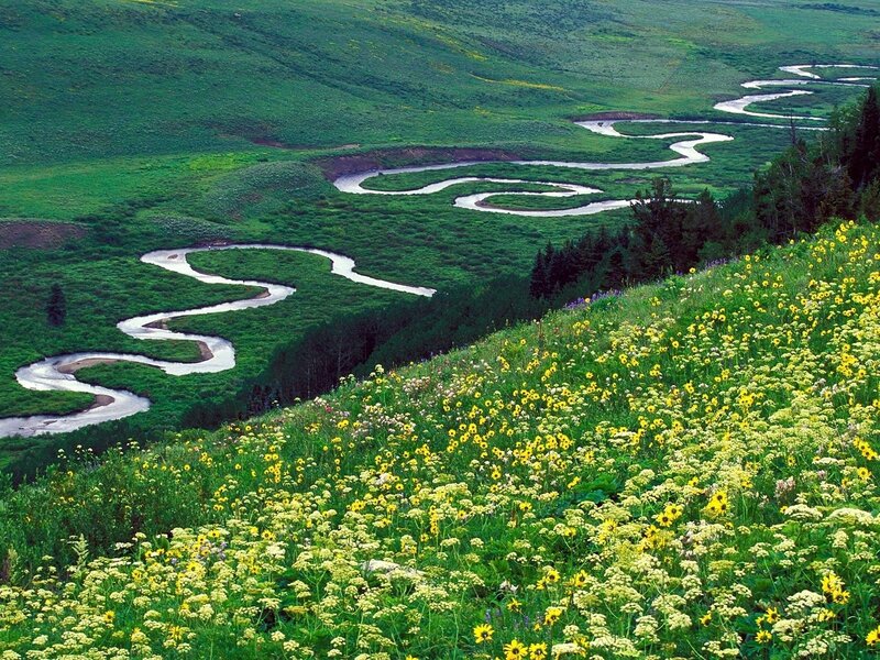 Winding river through green valley