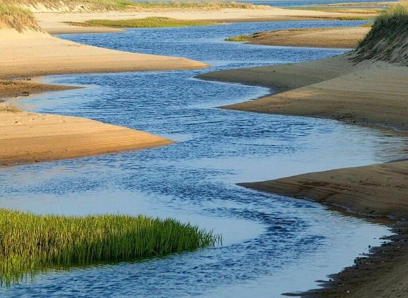 Winding River Through Sand