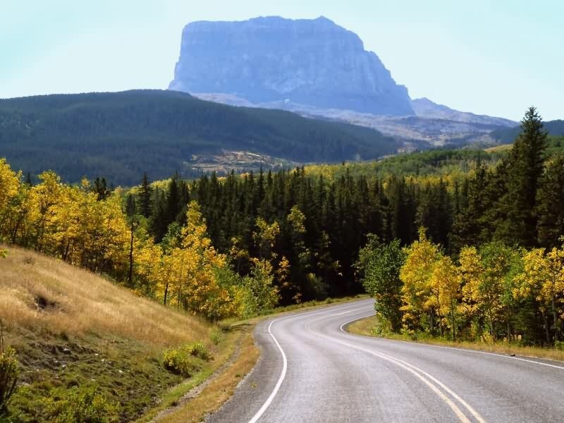 Winding Road and Mountain — Green