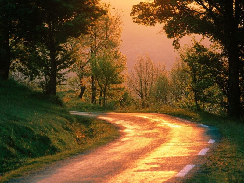 Winding Road at Sunset — Gold