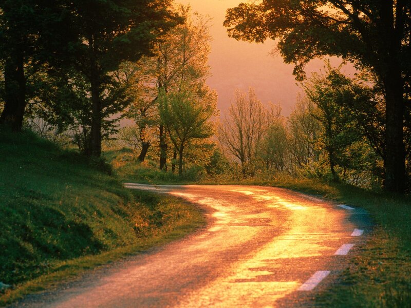 Winding Road at Sunset — Orange, Serene, Photograph, Trees, Grass
