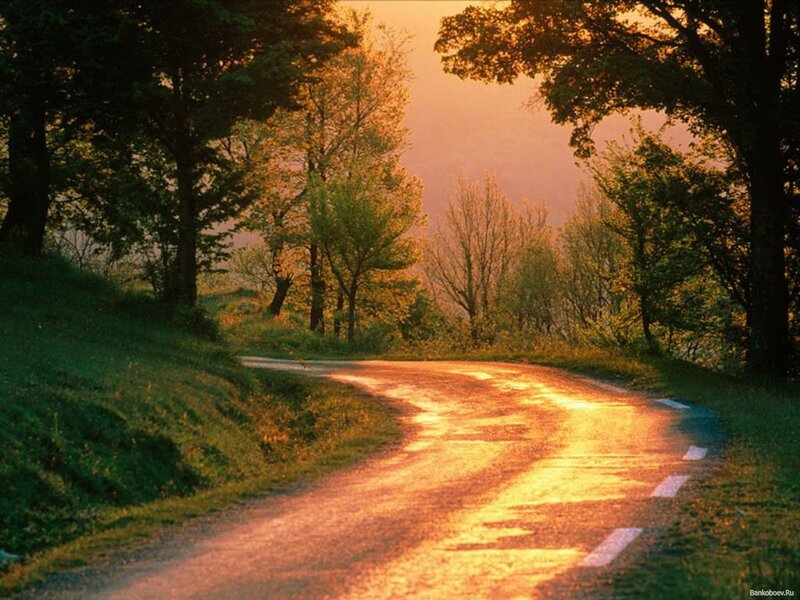 Winding Road at Sunset — Orange, Serene
