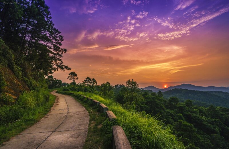 Winding Road at Sunset — Purple, Serene