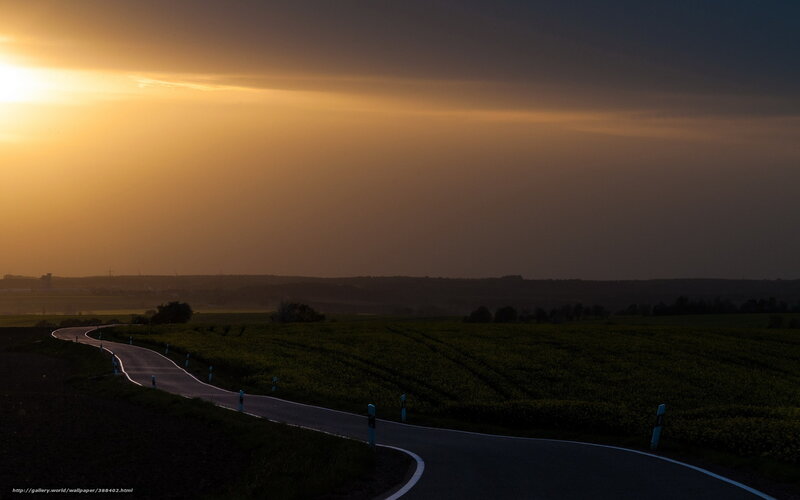 Winding Road at Sunset — Yellow, Dramatic, Photograph