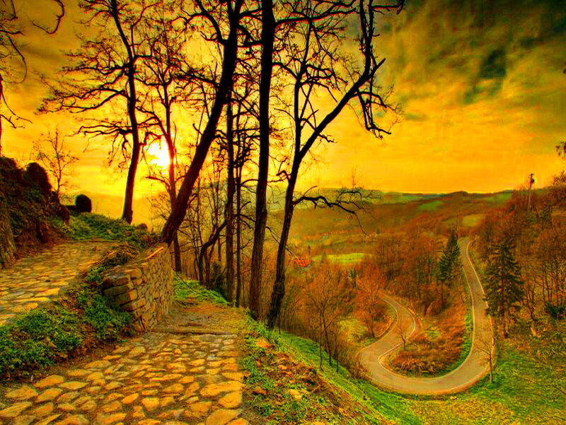 Winding Road at Sunset — Yellow