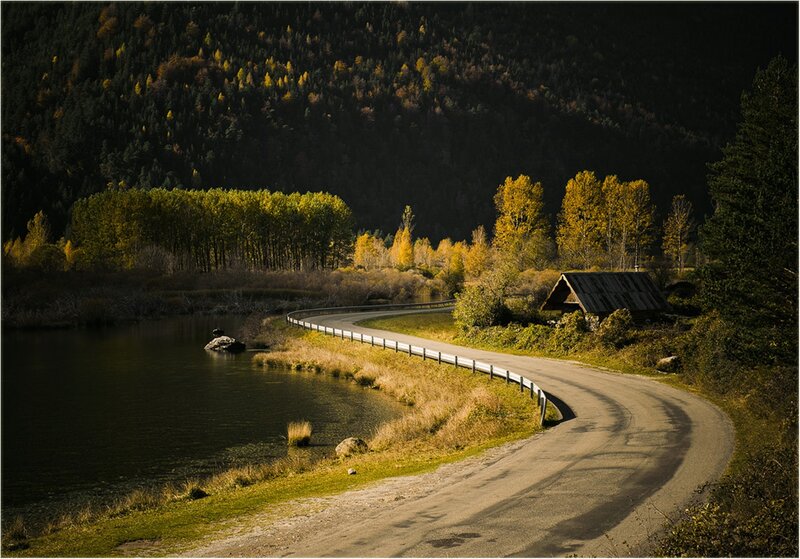 Winding Road by Lake — Green, Serene