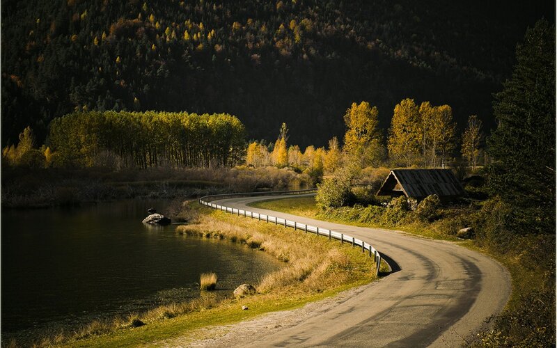 Winding road by lake in autumn