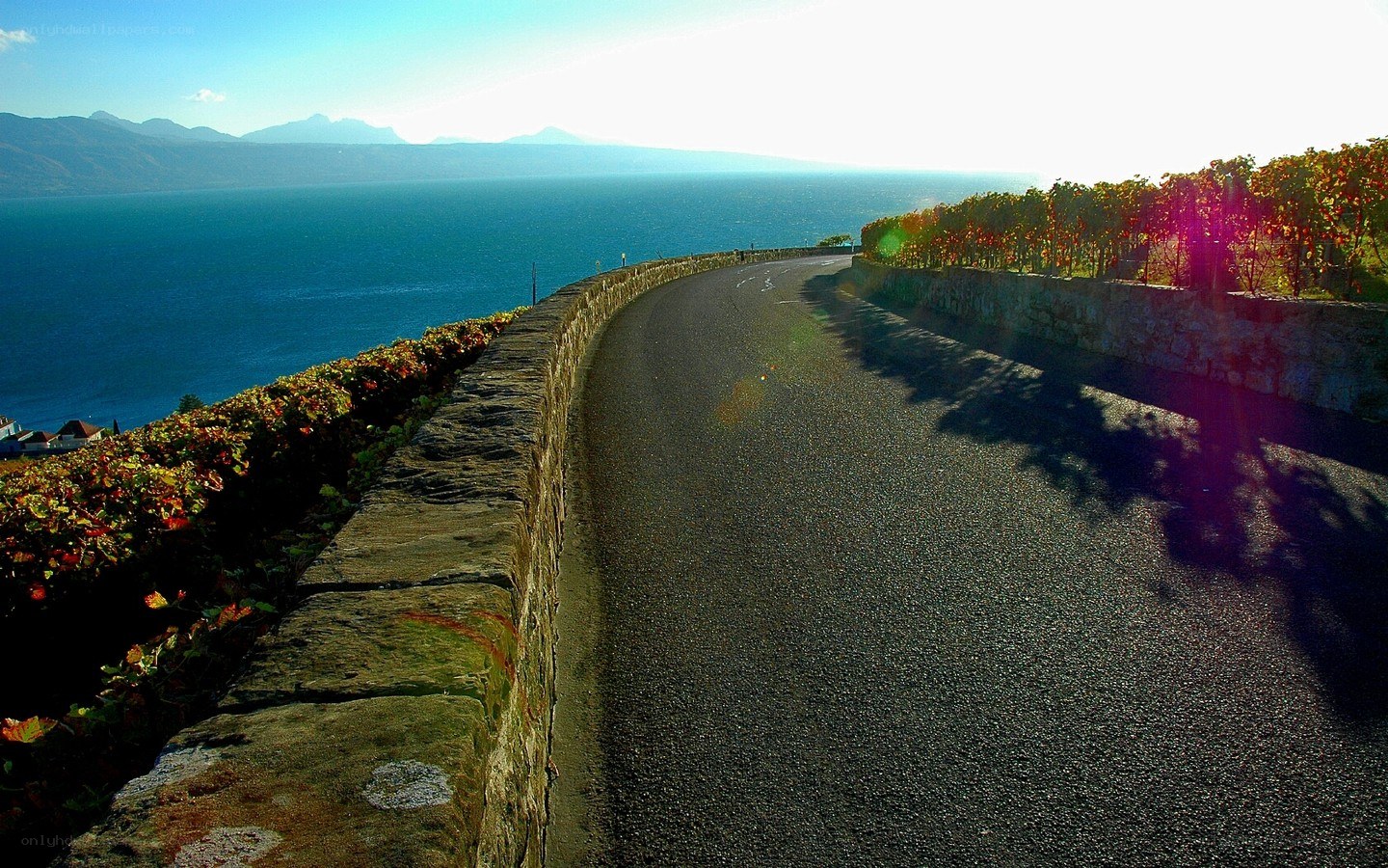 Winding road by the lake