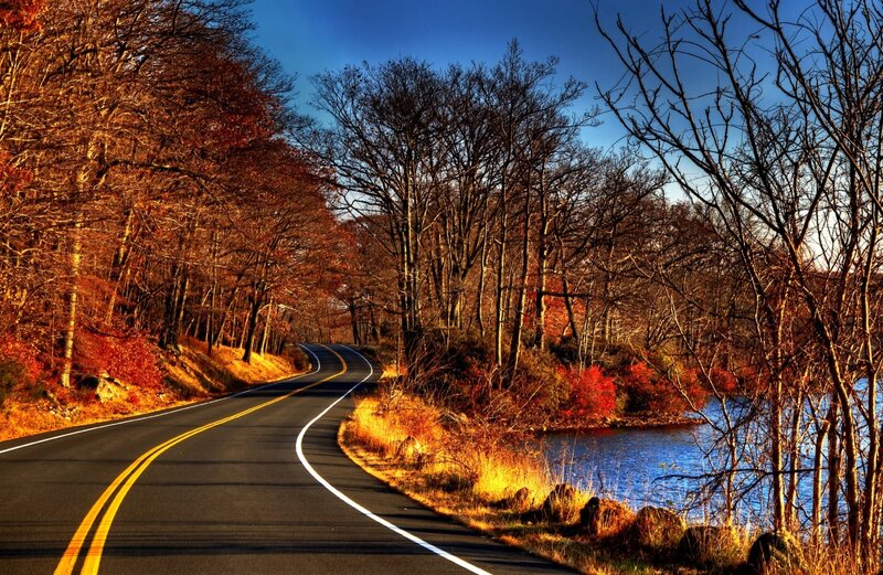 Winding Road in Autumn — Blue