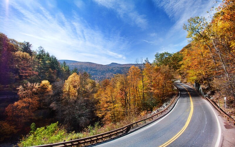 Winding Road in Autumn Forest — Blue