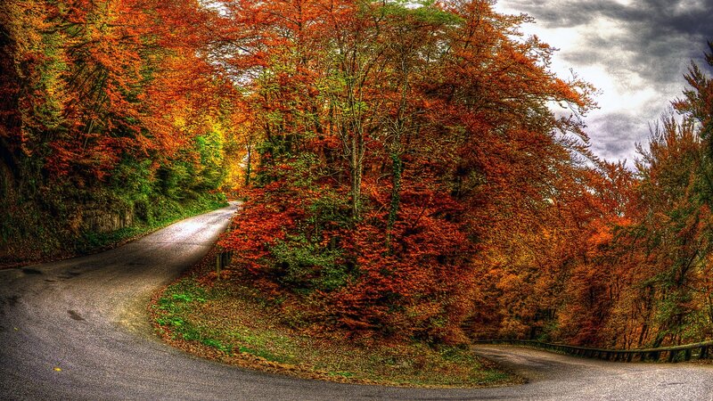 Winding Road in Autumn Forest — Orange, Dramatic, Photograph