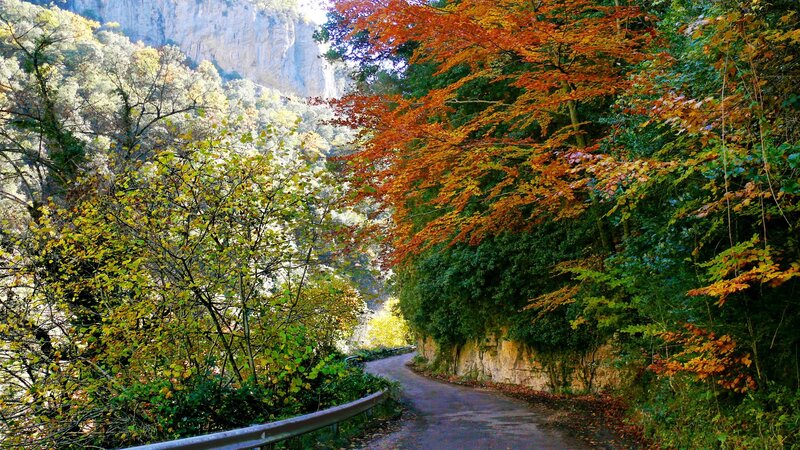 Winding Road in Autumn Forest — Orange, Serene, Photograph, Trees, Guardrail, Cliff