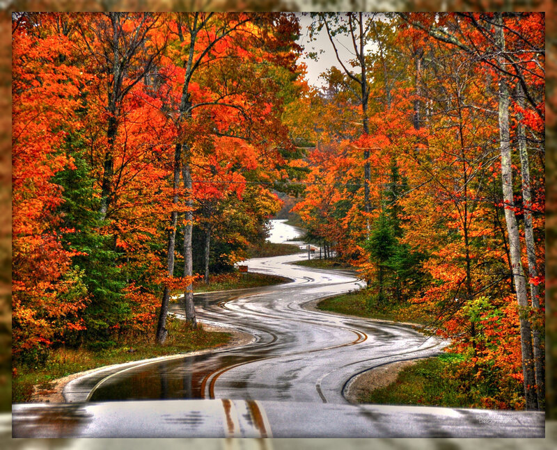 Winding Road in Autumn Forest — Orange, Serene