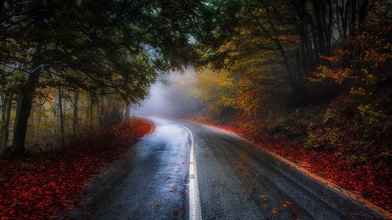 Winding Road in Autumn Forest — Red, Misty