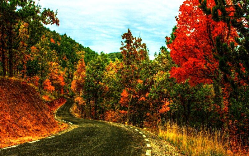 Winding Road in Autumn Forest — Red, Serene, Photograph, Trees, Hillside