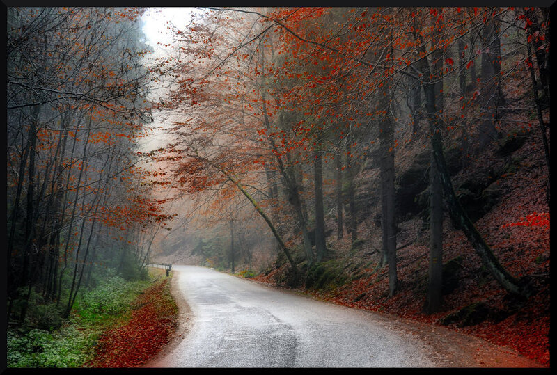 Winding Road in Autumn Forest — Red