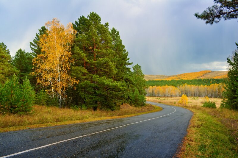 Winding Road in Autumn — Green, Dramatic