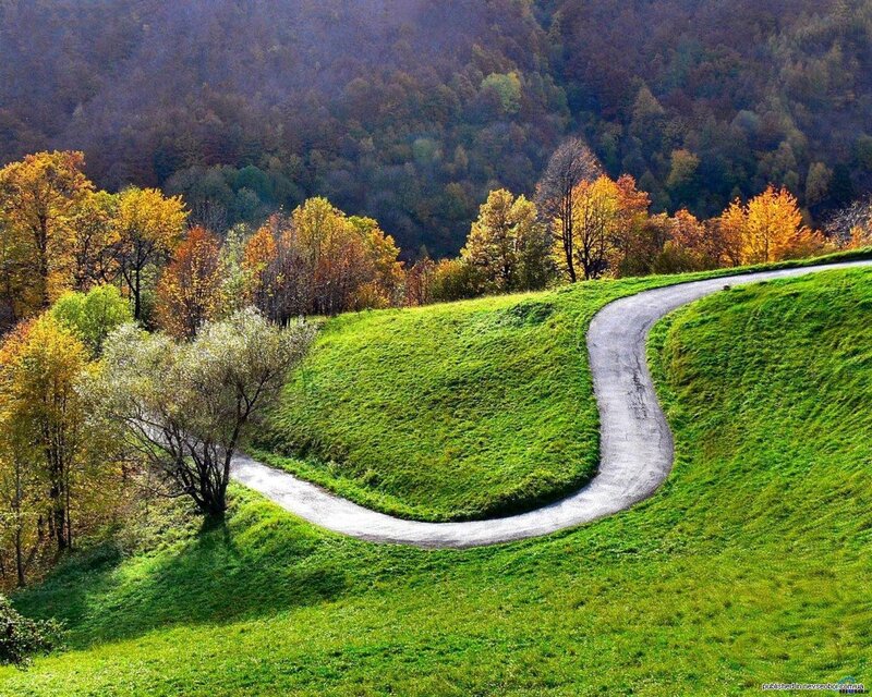 Winding Road in Autumn — Green, Serene, Photograph, Trees, Hills