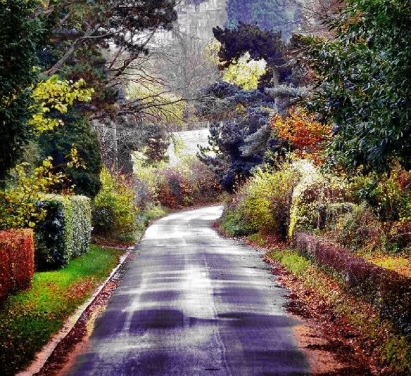 Winding Road in Autumn — Green, Serene
